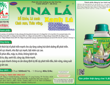 VINA LÁ – XANH LÁ