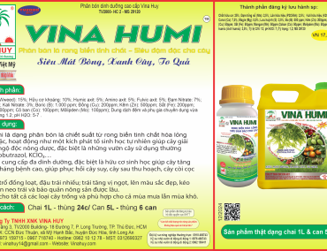 VINA HUMI – Siêu mát bông, xanh cây, to quả