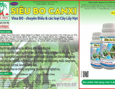 SIÊU BO CANXI – Vina BO 🥜 Chuyên Điều & các loại Cây Lấy Hạt