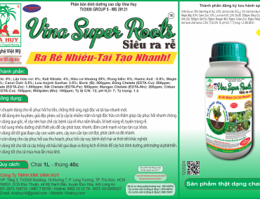 VINA SUPER ROOTS – Siêu Ra Rễ