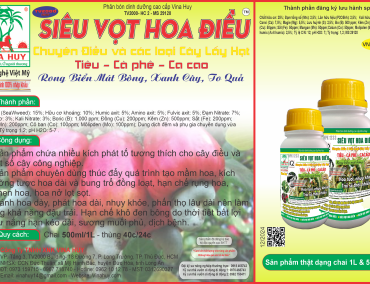 SIÊU VỌT HOA ĐIỀU – CHUYÊN CÂY LẤY HẠT!