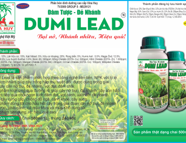 DUMI LEAD – Đâm Tược – Đẻ Nhánh