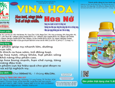 VINA HOA – HOA NỞ