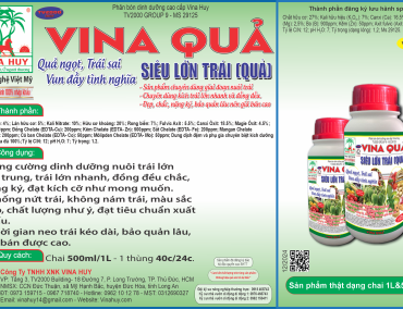 VINA QUẢ – SIÊU LỚN TRÁI (QUẢ)