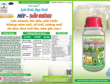 VINA QUẢ – LỚN TRÁI, ĐẸP TRÁI CHO MÍT, SẦU RIÊNG