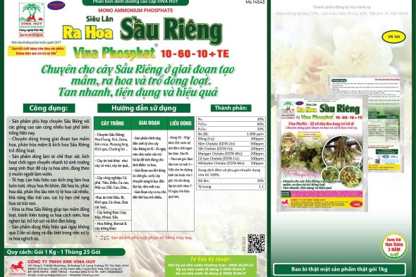 VINA PHOSPHAT 10-60-10 + TE – SIÊU LÂN RA HOA SẦU RIÊNG