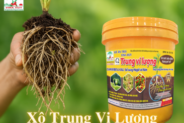 🌱 BÓN PHÂN CHO CÂY TRỒNG – HIỂU ĐÚNG ĐỂ ĐẠT NĂNG SUẤT CAO