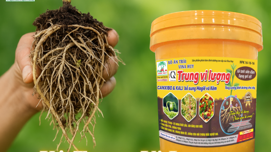 🌱 BÓN PHÂN CHO CÂY TRỒNG – HIỂU ĐÚNG ĐỂ ĐẠT NĂNG SUẤT CAO