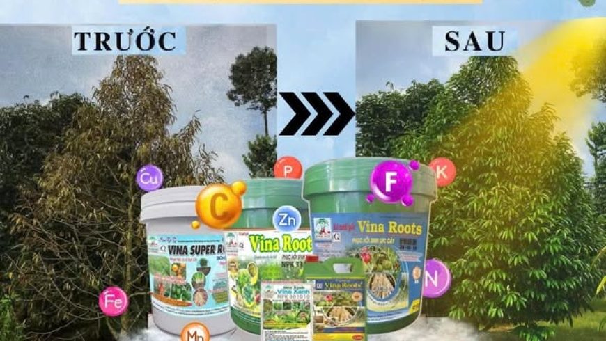 BỘ SẢN PHẨM ĐÁNH THỨC SỨC SỐNG – PHỤC HỒI SINH LỰC CÂY SAU THU HOẠCH