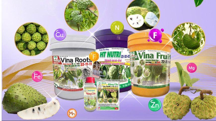 🌿🍃 XÔ VINA FRUIT™ – GIẢI PHÁP VÀNG CHO NHÀ VƯỜN MÃNG CẦU 🍃🌿