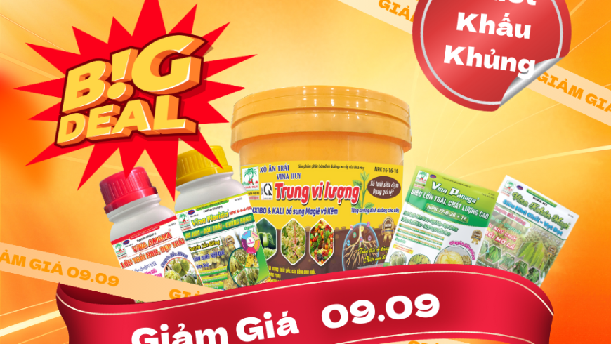 🎉🔥 ĐẠI TIỆC SĂN DEAL 09.09 – SALE SẬP SÀN 🔥🎉