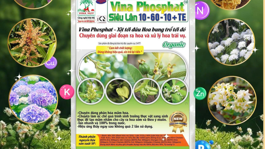 🌸 VINA PHOSPHAT – SIÊU LÂN 10-60-10 + TE 🌸