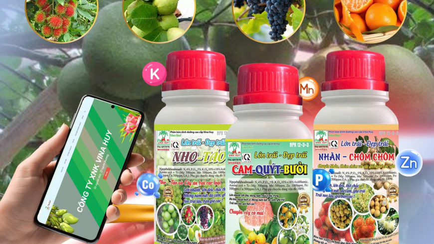 🌱 BỘ SẢN PHẨM VINA QUẢ – LỚN TRÁI, ĐẸP TRÁI