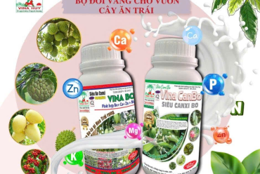 🌿✨ BỘ ĐÔI VINA BO & SIÊU CANXI BO – GIẢI PHÁP TOÀN DIỆN CHO VƯỜN CÂY ĂN TRÁI ✨🌿