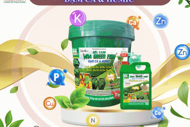 🐟 SIÊU XANH VINA GREEN FISH 🐟 ĐẠM CÁ & HUMIC