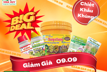 🎉🔥 ĐẠI TIỆC SĂN DEAL 09.09 – SALE SẬP SÀN 🔥🎉