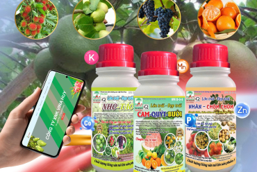 🌱 BỘ SẢN PHẨM VINA QUẢ – LỚN TRÁI, ĐẸP TRÁI