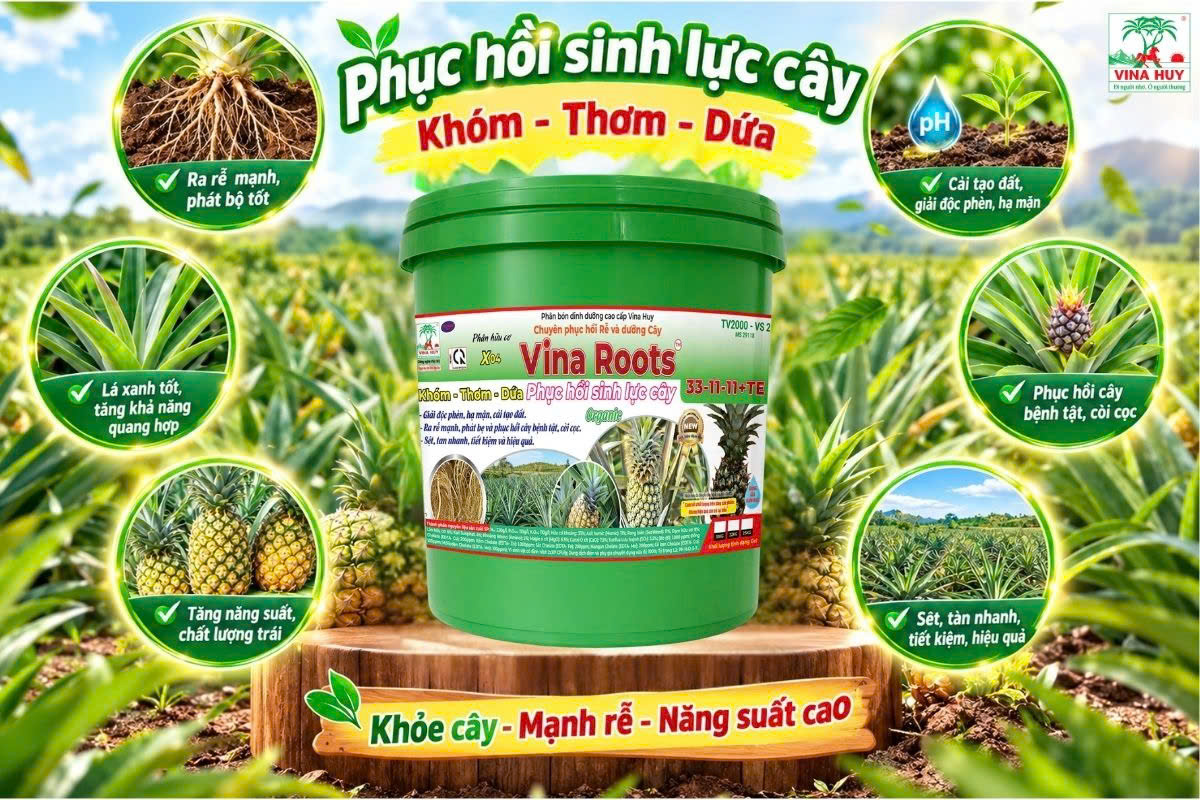 VINA ROOTS X04 – PHÂN BÓN DINH DƯỠNG CAO CẤP 33-11-11+TE CHUYÊN PHỤC HỒI RỄ VÀ DƯỠNG CÂY